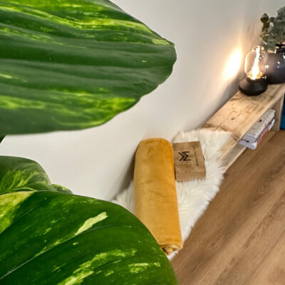 van Wamel, Marissa Marissa van Wamel